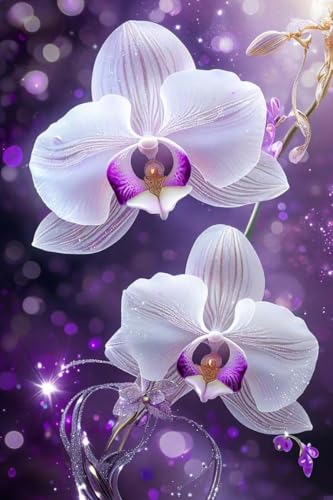Phalaenopsis orchidee Diamond Painting Erwachsene 30x40cm, DIY 5D Diamant Painting Bilder Malen Nach Zahlen Set, Diamond Art Full Drill Kinder Diamant Malerei Kunst Basteln für Home Wand Dekor Y-179 Phalaenopsis orchidee Diamond Painting Erwachsene 30x40cm, DIY 5D Diamant Painting Bilder Malen Nach Zahlen Set, Diamond Art Full Drill Kinder Diamant Malerei Kunst Basteln für Home Wand Dekor Y-179 von Kinooge
