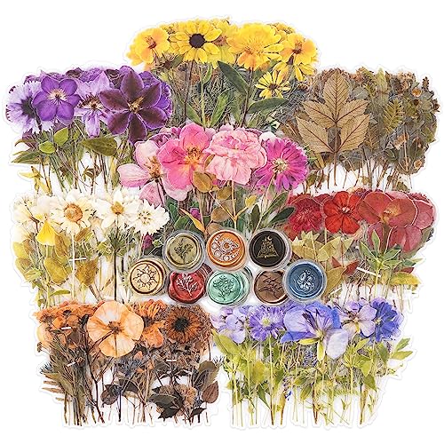 Kireida® 8 Stück Aufkleber-Set mit gepressten Blumen (320 Blatt), getrocknete Blumen, Kunstharz-Aufkleber, Abziehbilder, Florale, botanische Journaling-Aufkleber von Kireida