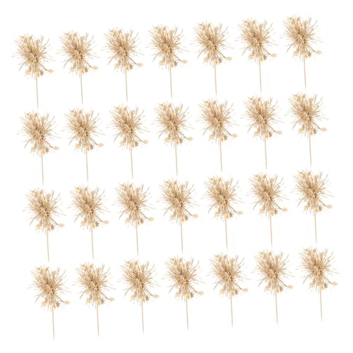 Kisangel 100 Stück Kuchen Plugin Obst Zahnstocher Getränkerührer Kuchendekorationen Mini Cupcake Topper Geburtstagskuchen Topper Geburtstagskuchen Einsatz von Kisangel