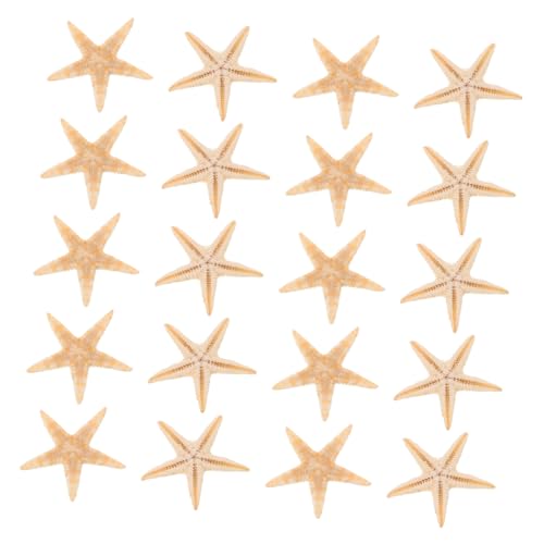Kisangel 20 Stück Mini Seestern Dekoration für DIY Projekte Strand Thema Seestern Ornamente für Aromatherapie Kerzen und Epoxidharz Zubehör Kisangel 20 Stück Mini Seestern Dekoration für DIY Projekte Strand Thema Seestern Ornamente für Aromatherapie Kerzen und Epoxidharz Zubehör von Kisangel