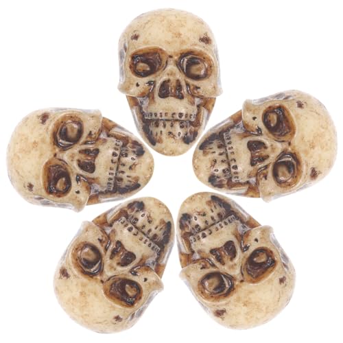 Kisangel 5 Stück Teiliges Schädel Realistische Halloween Skelett Figuren Handliche DIY Schädel Ornament Gruselige Tischdekoration für Party und Haunted House Kisangel 5 Stück Teiliges Schädel Realistische Halloween Skelett Figuren Handliche DIY Schädel Ornament Gruselige Tischdekoration für Party und Haunted House von Kisangel