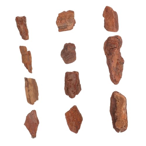 Kisangel Miniatur Natürlicher Trockener Kiefernrinde Handgefertigtes Zubehör für Dioramen Modellbahnen und Mikro Landschaften für Kreative Projekte und Dekoration Kisangel Miniatur Natürlicher Trockener Kiefernrinde Handgefertigtes Zubehör für Dioramen Modellbahnen und Mikro Landschaften für Kreative Projekte und Dekoration von Kisangel