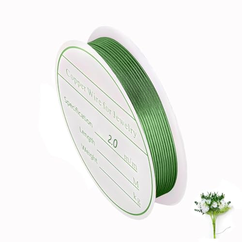 Kisstta 2mm x 2.5m Schmuckdraht, Grün Basteldraht, Draht zum Basteln, Handwerk Schmuck, Kupferdraht Perlendraht für Schmuckherstellung Bastelarbeiten Kisstta 2mm x 2.5m Schmuckdraht, Grün Basteldraht, Draht zum Basteln, Handwerk Schmuck, Kupferdraht Perlendraht für Schmuckherstellung Bastelarbeiten von Kisstta