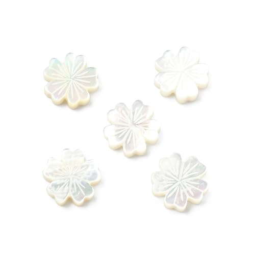 KitBeads Natürliche Muschelblumen-Perlen, weiße Kirschblütenperlen, doppelseitig, Frühlingsblumen-Perlen für Schmuckherstellung, Armbänder, Halsketten, Basteln, 5 Stück KitBeads Natürliche Muschelblumen-Perlen, weiße Kirschblütenperlen, doppelseitig, Frühlingsblumen-Perlen für Schmuckherstellung, Armbänder, Halsketten, Basteln, 5 Stück von KitBeads