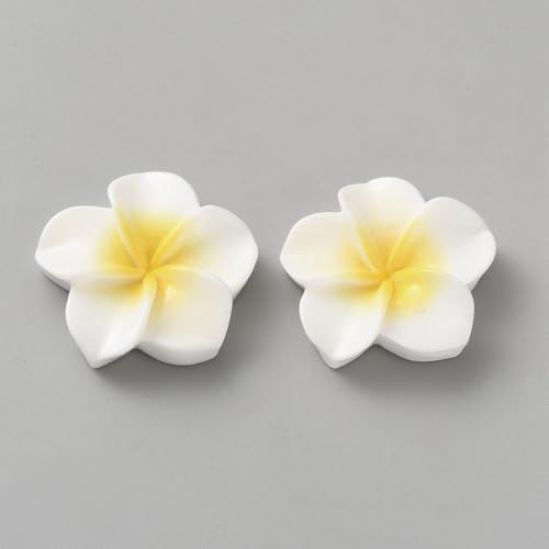 KitBeads Plumeria-Hawaii-Charms, Hibiskusblumen, transparent, tropische Blumen-Cabochons für Bastelarbeiten, Scrapbooking, DIY, Handyhüllen-Dekoration, 100 Stück KitBeads Plumeria-Hawaii-Charms, Hibiskusblumen, transparent, tropische Blumen-Cabochons für Bastelarbeiten, Scrapbooking, DIY, Handyhüllen-Dekoration, 100 Stück von KitBeads