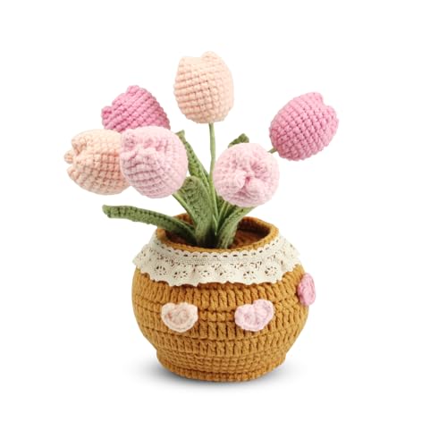 Kitchnexus Gehäkelte Tulpen Topf Mini Gehäkelte Blumen Kunstpflanzen Häkelblumen Geschenk für Familien Freunden und Kollegen Kitchnexus Gehäkelte Tulpen Topf Mini Gehäkelte Blumen Kunstpflanzen Häkelblumen Geschenk für Familien Freunden und Kollegen von Kitchnexus
