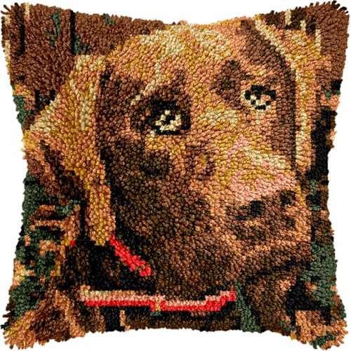 Diy Knüpfen Set Erwachsene Labrador Retriever Tier Kissen Kissen Vorderseite Chunky Kreuzstich Kit Stickerei Nadelspitze Kissen Kit Für Wohnkultur 17x17in Diy Knüpfen Set Erwachsene Labrador Retriever Tier Kissen Kissen Vorderseite Chunky Kreuzstich Kit Stickerei Nadelspitze Kissen Kit Für Wohnkultur 17x17in von Kitquiver