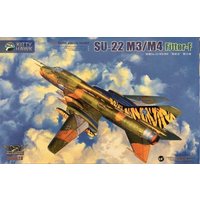 Mirage 2000 D/N von Kitty Hawk
