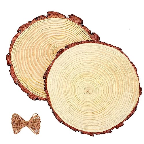 Unbehandeltes Baumscheiben,Natur Holzscheiben,Unvollendete Holzkreise,Holz Log Scheiben,2PCS Holzscheiben Runde Holz Scheiben Verzierung Holzscheiben DIY Holzscheiben DIY handwerk 16-18CM von Kiuiom