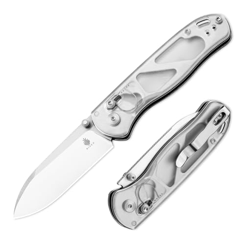 Kizer Drop Bear EDC Klappmesser, 2,98" Nitro-V-Stahlklinge Acrylgriff Taschenmesser mit Daumenöffner, Clutch Lock Messer für Männer Frauen Geschenk V3619A1 von Kizer