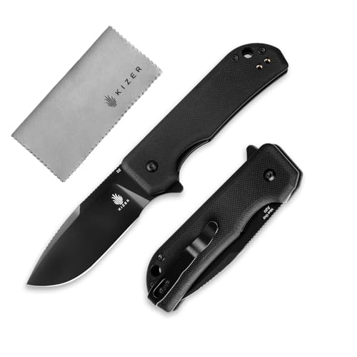 Kizer Nice Guy Taschenmesser, 2,84" D2-Stahl Klinge mit G10-Griff, Kleines EDC-Messer, Liner-Lock-Flipper-Messer für Männer und Frauen, Scharfe Camping-, Wander-, Jagd- und Überlebensmesser V3011M1 von Kizer