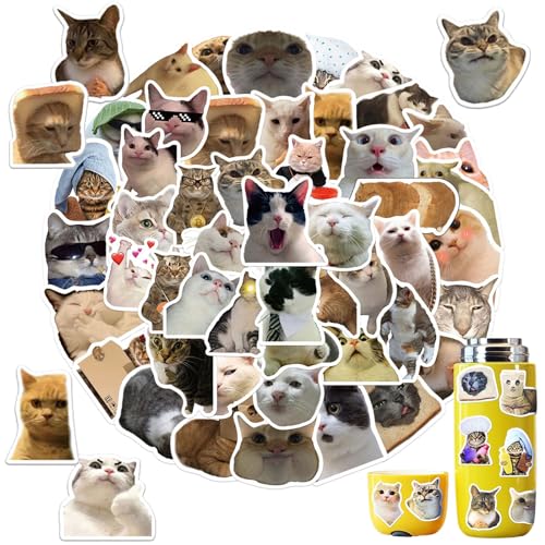 100 Stück Lustiges Katzen Aufkleber Set, Meme Aufkleber süße Katzen Aufkleber Wasserfeste Vinyl Aufkleber für Skateboard Laptop Koffer Helm Motorrad Auto Fahrrad Handy, Geeignet für Erwachsene Kinder 100 Stück Lustiges Katzen Aufkleber Set, Meme Aufkleber süße Katzen Aufkleber Wasserfeste Vinyl Aufkleber für Skateboard Laptop Koffer Helm Motorrad Auto Fahrrad Handy, Geeignet für Erwachsene Kinder von KkvoGmle