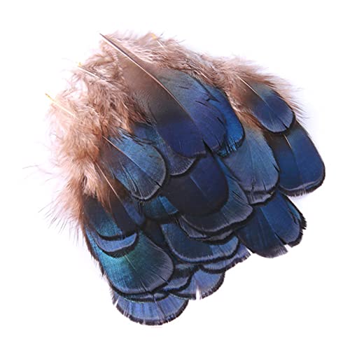 Klaisy 50 Stück/Set Natur für Traumfänger Ohrringe Corsage Hochzeit Maskerade Bühnendekorationen Klaisy 50 Stück/Set Natur für Traumfänger Ohrringe Corsage Hochzeit Maskerade Bühnendekorationen von Klaisy