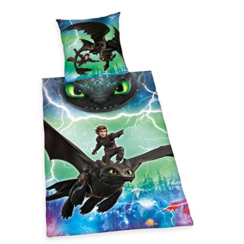 Herding DREAMWORKS DRAGONS Bettwäsche-Set, Wendemotiv, Bettbezug 140 x 200 cm, Kopfkissenbezug 70 x 90 cm, Baumwolle/Renforcé von Klaus Herding GmbH