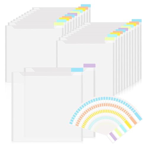 Kleagary Scrapbook-Papier-Organizer, 30,5 x 30,5 cm, transparenter Aufbewahrungs-Organizer mit selbstklebenden Index-Tabs für Scrapbook-Papier, Vinyl, A Kleagary Scrapbook-Papier-Organizer, 30,5 x 30,5 cm, transparenter Aufbewahrungs-Organizer mit selbstklebenden Index-Tabs für Scrapbook-Papier, Vinyl, A von Kleagary