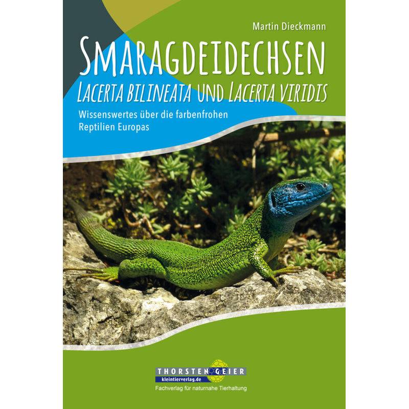 Smaragdeidechsen Lacerta Bilineata Und Lacerta Viridis - Martin Dieckmann, Kartoniert (TB) von Kleintierverlag