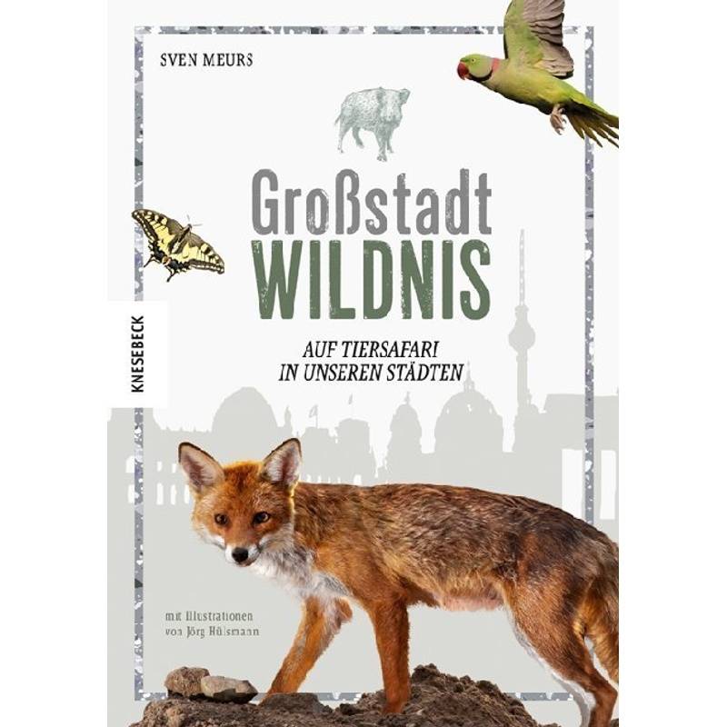 Großstadt Wildnis - Sven Meurs, Gebunden von Knesebeck