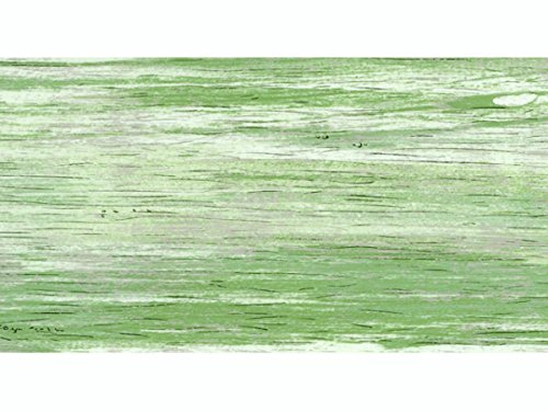 Knorr prandell Wachsplatte17,5x8cm gemust.grün von Knorr Prandell