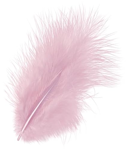 KnorrPrandell 6619215 Marabufedern, 10 cm, zartrosa, Rosa KnorrPrandell 6619215 Marabufedern, 10 cm, zartrosa, Rosa von Knorr Prandell