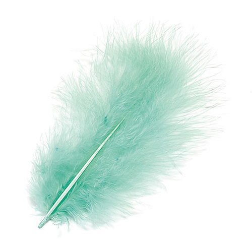 KnorrPrandell 6619380 Marabufedern, 10 cm, türkis KnorrPrandell 6619380 Marabufedern, 10 cm, türkis von Knorr Prandell