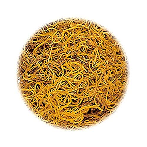 KnorrPrandell 6692052 Dschungelgras, gelb KnorrPrandell 6692052 Dschungelgras, gelb von Knorr Prandell