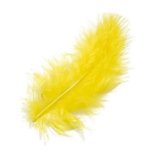 KnorrPrandell 6619053 Marabufedern, 10 cm, gelb KnorrPrandell 6619053 Marabufedern, 10 cm, gelb von Knorr Prandell