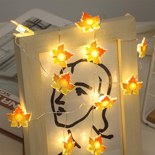 KOBOKO Lichterkette Herbst, 2M 20LED Herbst Deko Lichterkette, Herbstdeko Ahornblätter Lichterketten, Lichterketten Innen Batteriebetrieben, Herbst Lichterketten für Erntedankfest Halloween Party Deko KOBOKO Lichterkette Herbst, 2M 20LED Herbst Deko Lichterkette, Herbstdeko Ahornblätter Lichterketten, Lichterketten Innen Batteriebetrieben, Herbst Lichterketten für Erntedankfest Halloween Party Deko von Koboko