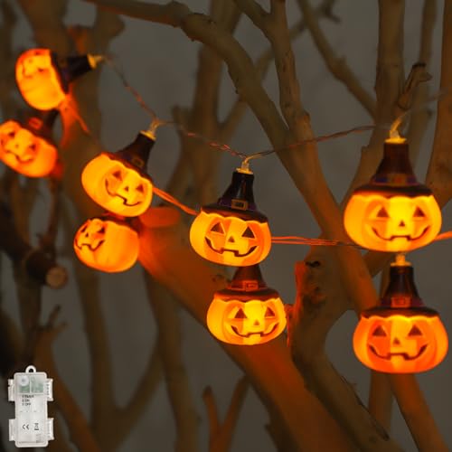 Koboko Halloween Lichterkette, 1,5M 20LED Kürbis Lichterkette mit Timer, Wasserdichte Kürbis Lichterketten Halloween Deko Innen Outdoor, Herbst Deko Batteriebetrieben Pumpkin Lichterketten Partydeko von Koboko