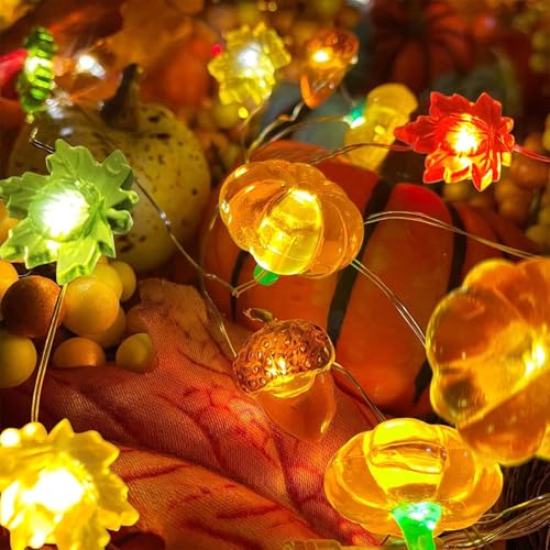 Koboko Lichterkette Herbst, 2M 20LED Herbst Deko Lichterkette, Kürbis, Eichel und Ahornblatt Lichterketten, Lichterketten Innen Batteriebetrieben für Herbstdeko Erntedankfest Halloween Party Deko Koboko Lichterkette Herbst, 2M 20LED Herbst Deko Lichterkette, Kürbis, Eichel und Ahornblatt Lichterketten, Lichterketten Innen Batteriebetrieben für Herbstdeko Erntedankfest Halloween Party Deko von Koboko