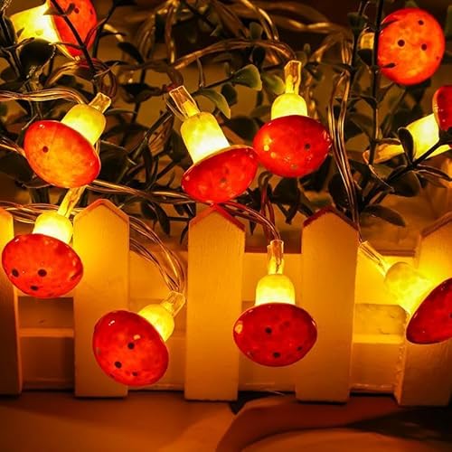 Koboko Lichterketten Pilze Koboko Lichterketten Pilze von Koboko