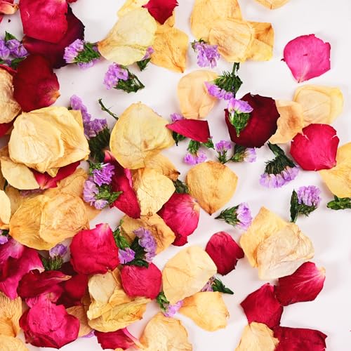 Koceko 20+ Tassen echte getrocknete Rosenblätter, biologisch abbaubar, Hochzeitsblumen-Konfetti, gemischte gelbe, rote Rosenblätter und violette Statice für Blumenmädchen, Hochzeit, Brautantrag, Bad von Koceko