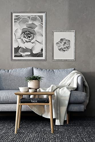 Komar - Succulent Aeonium - 2 Bilderrahmen Holz mit 2 Art Poster 30x40 cm und 50x70 cm - Schlafzimmer, Wohnzimmer Dekoration von Komar