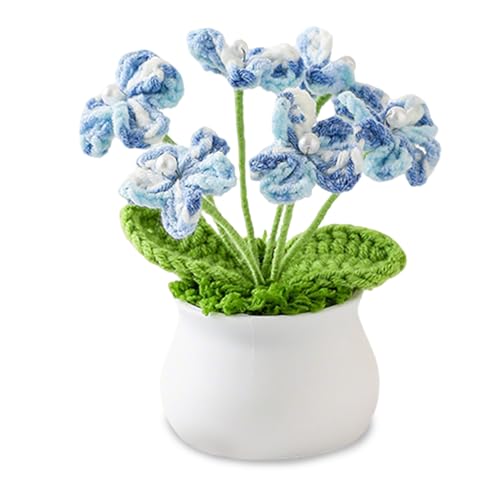 Handgefertigte Häkelblumen Gefälschte Vergissmeinnicht Blume für Freunde Familie Künstliche Strickblumen Topfdekoration für Home Office Küche Wohnzimmer Tisch Schlafzimmer Kreative Frauen Mädchen von Komergave