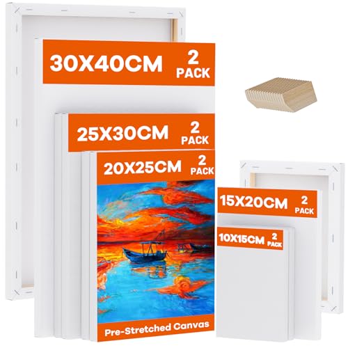 Koncci Leinwand zum Bemalen, 10 Stück 5 Größe Keilrahmen,10x15, 15x20, 20x25, 25x30, 30x40cm(je 2 Stück), 280g/m² Dreifach Grundiert Baumwolle Leinwand, Leinwände für Acrylfarbe, Aquarell, Öl, Gouache von Koncci