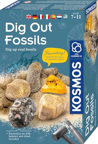 KOSMOS 617226 Fossilien Ausgrabungs-Set, Grabe echte Versteinerungen und Bernstein selbst aus, mit Hammer und Meißel, Experimentierset für Kinder ab 7 Jahre, mehrsprachige Anleitung KOSMOS 617226 Fossilien Ausgrabungs-Set, Grabe echte Versteinerungen und Bernstein selbst aus, mit Hammer und Meißel, Experimentierset für Kinder ab 7 Jahre, mehrsprachige Anleitung von Kosmos