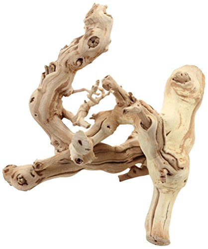 Koyal Wholesale Grapewood Branch, 12-Inch Koyal Wholesale Grapewood Branch, 12-Inch von Koyal Wholesale