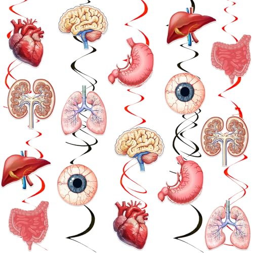 Kreatwow Menschliche Anatomie-Party-Dekorationen, 24 Stück, menschlicher Körper, hängende Deckenwirbel, Körperteil, Thema, Luftschlangen, medizinische Organdekoration für Physiologie, Arzt Kreatwow Menschliche Anatomie-Party-Dekorationen, 24 Stück, menschlicher Körper, hängende Deckenwirbel, Körperteil, Thema, Luftschlangen, medizinische Organdekoration für Physiologie, Arzt von Kreatwow