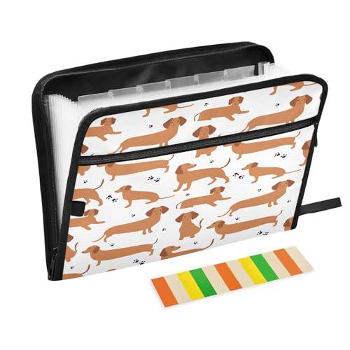 Fächermappe, Cartoon-Hunde, Dackel, Reißverschluss, Akkordeon-Dokumenten-Organizer, 13 Taschen, Briefgröße, mit Klebeetiketten, Tier, Welpen, Hunde Fächermappe, Cartoon-Hunde, Dackel, Reißverschluss, Akkordeon-Dokumenten-Organizer, 13 Taschen, Briefgröße, mit Klebeetiketten, Tier, Welpen, Hunde von Ksajwzf