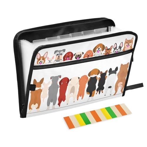 Fächermappe mit niedlichem Tier, Hund, Reißverschluss, Akkordeon-Dokumenten-Organizer, 13 Taschen, Briefgröße, mit Klebeetiketten, Tierwelpe Fächermappe mit niedlichem Tier, Hund, Reißverschluss, Akkordeon-Dokumenten-Organizer, 13 Taschen, Briefgröße, mit Klebeetiketten, Tierwelpe von Ksajwzf