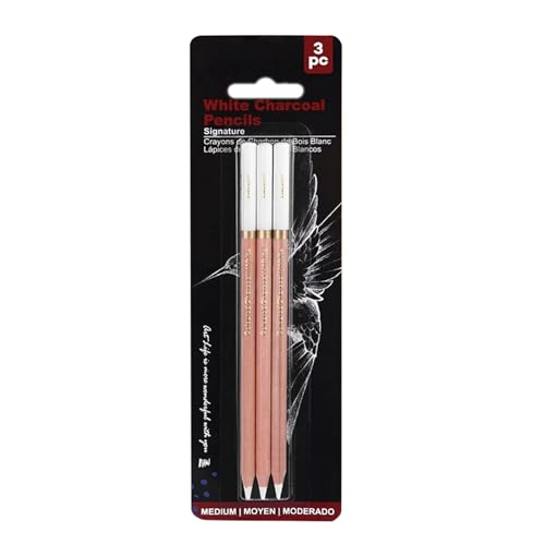 Ksikdeg 2/3/4 Stück weiße Kohlestifte Zeichenstifte Highlight-Bleistift Skizzierstift zum Zeichnen Skizzieren Ksikdeg 2/3/4 Stück weiße Kohlestifte Zeichenstifte Highlight-Bleistift Skizzierstift zum Zeichnen Skizzieren von Ksikdeg