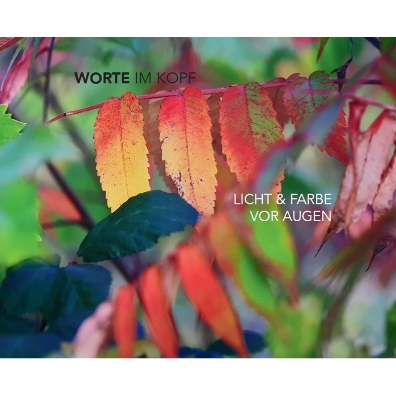 Worte Im Kopf - Licht & Farbe Vor Augen - Lea Andersson, Hanns Christian Roth, Kartoniert (TB) von Kunstverlag Josef Fink