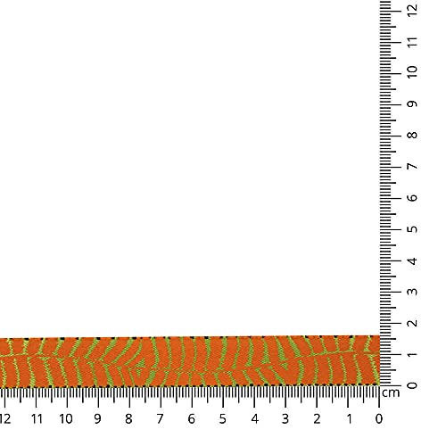 Kuny 28823-0016-0001 Band, 0001 Grün/Orange, 20 m x 16 mm von Kuny