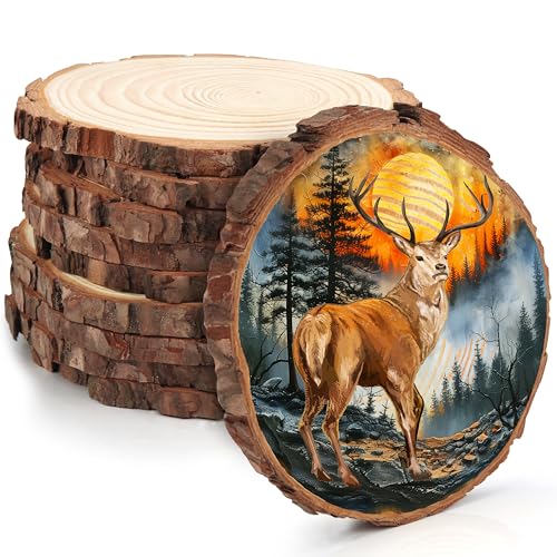 Kurtzy Natürliche Runde Holzscheiben zum Basteln (10er Pack) 14-16cm Durchmesser - Holzscheiben Rund mit Rinde und Ohne Loch - Holzschilder zum Beschriften für DIY Kunst und Weihnachtsschmuck von Kurtzy