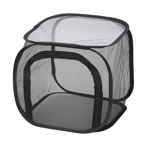 Kustimantu Schutzabdeckungen aus Netzstoff für den Außenbereich, ausklappbar, für Pflanzen, Erdbeeren, Obst, Gemüse, Obstgärten, Balkon, Fensterbank Kustimantu Schutzabdeckungen aus Netzstoff für den Außenbereich, ausklappbar, für Pflanzen, Erdbeeren, Obst, Gemüse, Obstgärten, Balkon, Fensterbank von Kustimantu