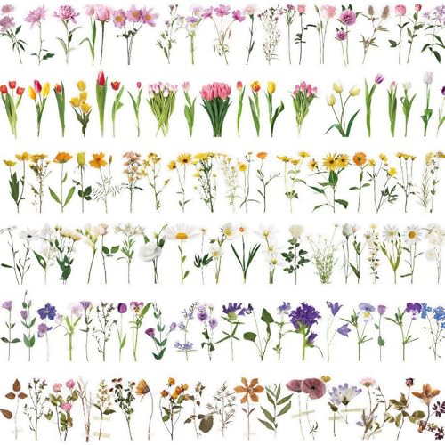 240 Stück Blumenaufkleber für Scrapbooking, DIY natürliche Blumenpflanzen-Aufkleber, selbstklebend, wasserdicht, Scrapbook-Aufkleber-Set, für Briefe, Wand, Notizbuch, Karte, Fenster 240 Stück Blumenaufkleber für Scrapbooking, DIY natürliche Blumenpflanzen-Aufkleber, selbstklebend, wasserdicht, Scrapbook-Aufkleber-Set, für Briefe, Wand, Notizbuch, Karte, Fenster von L0famy