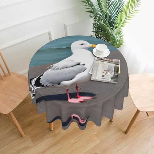 LAABBE Runde dekorative Tischdecke, 152,4 cm, niedlicher Möwen-Stempel für den Innen- und Außenbereich, auf runden Tischen wie Couchtischen, Esstischen und Bauernhoftischen LAABBE Runde dekorative Tischdecke, 152,4 cm, niedlicher Möwen-Stempel für den Innen- und Außenbereich, auf runden Tischen wie Couchtischen, Esstischen und Bauernhoftischen von LAABBE