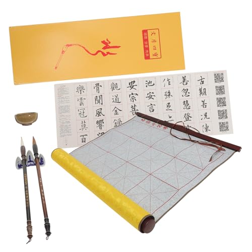 LABRIMP 1 Schachtel Wiederverwendbare Kalligraphie Matte Wasserzeichentuch mit Guter Saugfähigkeit und Textur für Anfänger Geeignet zum Chinesischen Kalligraphie Üben und Malen Praktisch von LABRIMP