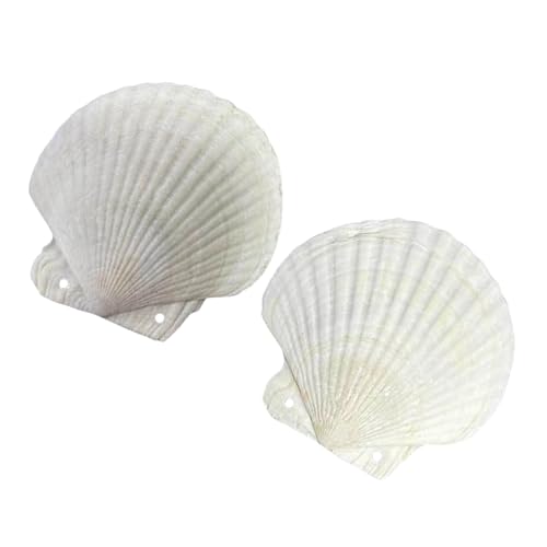 LAIOUSN Künstlerisches Tagebuch in Muschelform mit 2 Löchern, nachfüllbares Papier, Notizblöcke für Inspirationssammlung und zum Verschenken von Muschel-Designs, Notizblöcke von LAIOUSN
