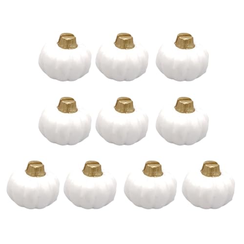 LAIOUSN Set mit 10 Thanksgiving-Kürbis-Kartenhaltern, tragbare Thanksgiving-Kürbis-Kartenhalter für elegante Tischdekoration, Thanksgiving-Namenskartenhalter LAIOUSN Set mit 10 Thanksgiving-Kürbis-Kartenhaltern, tragbare Thanksgiving-Kürbis-Kartenhalter für elegante Tischdekoration, Thanksgiving-Namenskartenhalter von LAIOUSN