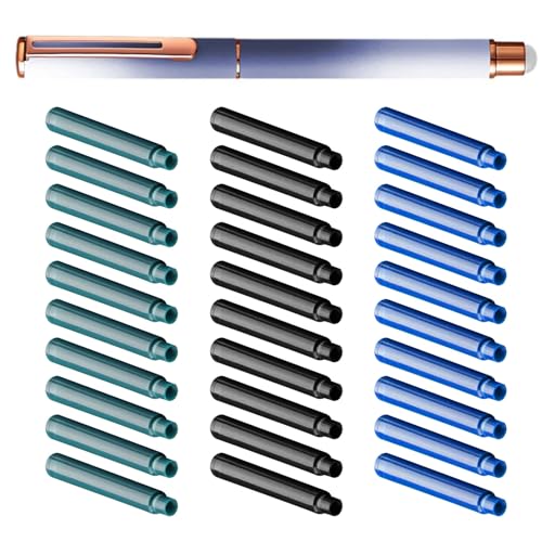 Löschbarer Füllfederhalter mit 30 Tintenpatronen, 0,38 mm Spitze, Metall-Füllfederhalter, zum Nachfüllen von Tinten, Absorber für Studenten, Luxus von LAIOUSN